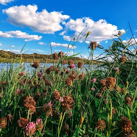 20 Person In Nørre Nebel