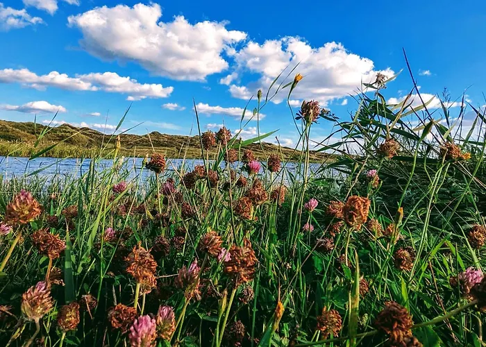 20 Person In Nørre Nebel